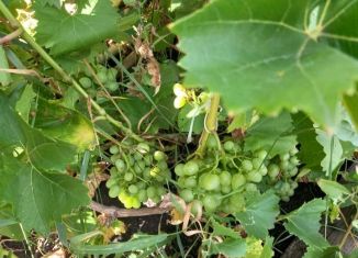 Дача на продажу, 56 м2, Пенза