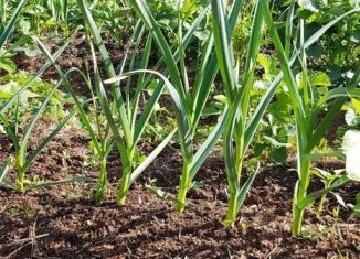 Продается участок, 10 сот., Можга, Центральная площадь