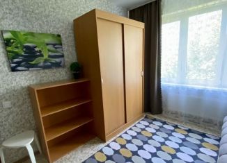 Сдам 1-комнатную квартиру, 33 м2, Санкт-Петербург, проспект Космонавтов, 65к4