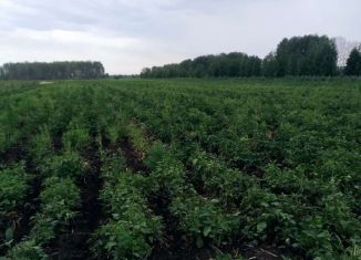 Земельный участок на продажу, 485 сот., Богословское сельское поселение