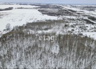 Земельный участок на продажу, 16.3 сот., село Борки