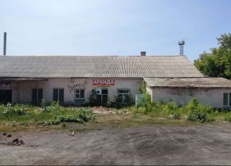 Продам помещение свободного назначения, 560 м2, Еманжелинск