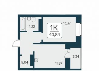 Продам однокомнатную квартиру, 40.8 м2, Новосибирск, метро Площадь Ленина