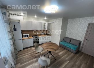 Продажа однокомнатной квартиры, 50 м2, Ижевск, улица Холмогорова, 111, ЖК Новый Парк