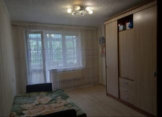 Продажа 1-комнатной квартиры, 28.7 м2, Новосибирск, Выборная улица, 93, Октябрьский район