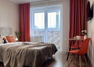 Сдаю квартиру студию, 25 м2, Пермь, улица Солдатова, 30Б