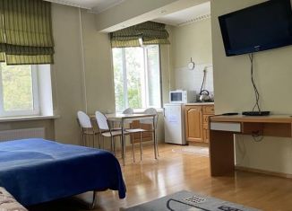 Сдается 1-ком. квартира, 35 м2, Пермь, улица Краснова, 28