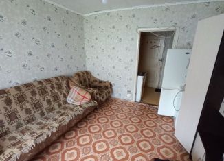 Сдаю 1-ком. квартиру, 23 м2, Пермь, улица Пушкина, 108А