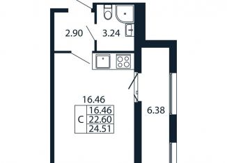 Продается квартира студия, 29 м2, Ленинградская область