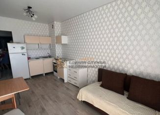 Сдача в аренду 1-комнатной квартиры, 24 м2, село Нагаево, Новоуфимская улица, 15