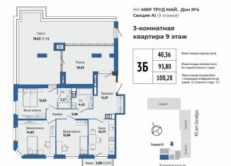 3-комнатная квартира на продажу, 100.3 м2, Екатеринбург, ЖК Мир Труд Май