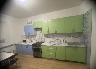 Сдача в аренду 2-ком. квартиры, 65 м2, поселок Знамя Октября, микрорайон Родники, 6