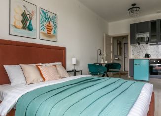 Квартира в аренду студия, 27 м2, Санкт-Петербург, Тосина улица, 6