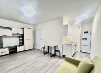 Продам квартиру студию, 28.7 м2, Мурино, улица Шоссе в Лаврики, 64к1