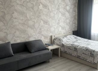 Сдача в аренду однокомнатной квартиры, 34 м2, Белгород, Гостенская улица