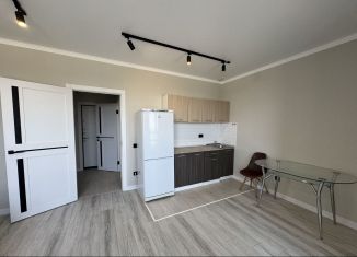 Сдается в аренду квартира студия, 30 м2, Ростов-на-Дону, переулок Чаленко, 11, ЖК Западная Резиденция