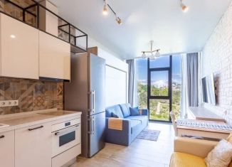 Сдаю в аренду квартиру студию, 28 м2, Сочи, Депутатская улица, 10Б/1, ЖК Метрополь