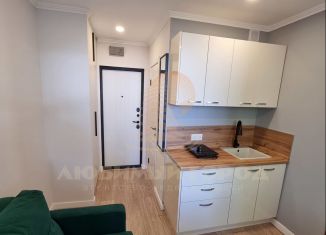 Квартира на продажу студия, 11.4 м2, Мытищи, проезд № 4530, 1с3