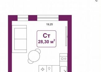 Продается квартира студия, 28.3 м2, деревня Дударева, улица Сергея Джанбровского, 25