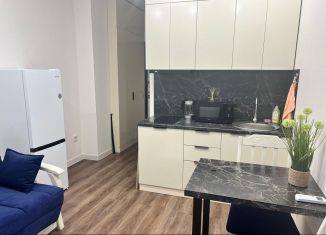 Сдам в аренду квартиру студию, 20 м2, Сочи, Взлётная улица, 23, микрорайон Центральный