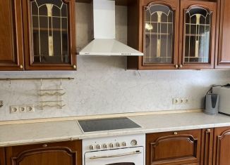 Сдам 1-ком. квартиру, 50 м2, Санкт-Петербург, улица Котина, 5к1Б