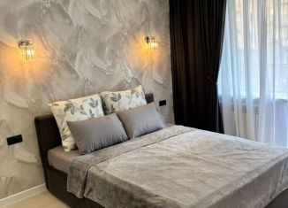 Сдается в аренду однокомнатная квартира, 40 м2, Саратов, проспект Строителей, 38Б