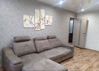 Сдам в аренду 2-комнатную квартиру, 47 м2, Нижний Новгород, 6-й микрорайон Автозавода, 41, 6-й микрорайон Автозавода