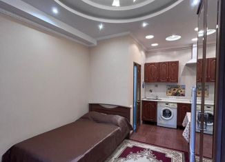 Сдаю в аренду квартиру студию, 20 м2, Сочи, улица Дмитриевой, 13Б, микрорайон Светлана