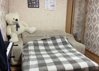 Сдача в аренду трехкомнатной квартиры, 60 м2, Республика Башкортостан, Интернациональная улица, 165