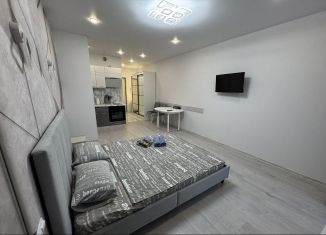 Сдается квартира студия, 32 м2, Тула, Рязанская улица, 21