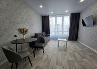 1-ком. квартира в аренду, 55 м2, Кемеровская область, улица Сарыгина, 31к1
