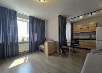 Продам квартиру студию, 24 м2, Агрыз, Октябрьская улица, 7