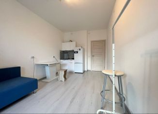 Квартира на продажу студия, 23.4 м2, Санкт-Петербург, улица Владимира Пчелинцева, 3, ЖК Солнечный Город. Резиденции