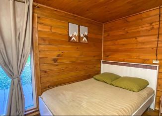 Сдаю в аренду дом, 25 м2, Республика Алтай, Дорожная улица, 28/1к2