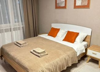 Сдача в аренду однокомнатной квартиры, 34 м2, Ростов-на-Дону, улица Теряева, 8, ЖК Платовский