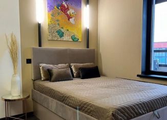 Сдаю в аренду квартиру студию, 24 м2, Санкт-Петербург, проспект Ветеранов, 185к2, Красносельский район