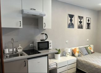 Сдам в аренду квартиру студию, 13 м2, Йошкар-Ола, Ленинский проспект, 68