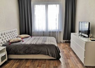 1-ком. квартира в аренду, 40.9 м2, Санкт-Петербург, проспект Юрия Гагарина, 48к1