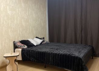 Сдается квартира студия, 26.6 м2, Мурино, проспект Авиаторов Балтики