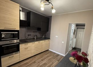 Сдача в аренду 1-комнатной квартиры, 39 м2, Республика Башкортостан, улица Энтузиастов, 16