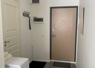 Сдается в аренду квартира студия, 23.1 м2, Пушкин, Камероновская улица, 12с4