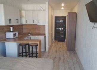 Сдаю в аренду квартиру студию, 24 м2, Сочи, Ясногорская улица, 16/6к5, микрорайон Бытха