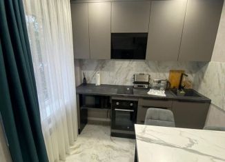 Сдается в аренду однокомнатная квартира, 35 м2, Сочи, улица Молокова, 3, микрорайон Черемушки