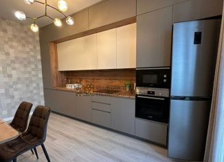 Сдаю в аренду 2-ком. квартиру, 75 м2, Республика Башкортостан, улица Гоголя, 29