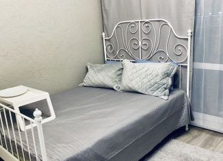 Аренда квартиры студии, 24 м2, Мурино, улица Шувалова, 34