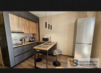 Сдам в аренду однокомнатную квартиру, 50 м2, Новосибирск, улица Немировича-Данченко, 167/3, ЖК Расцветай на Маркса