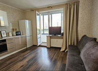 Сдаю квартиру студию, 25 м2, Мурино, проспект Авиаторов Балтики, 7