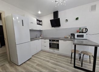 Сдается в аренду 2-комнатная квартира, 65 м2, Череповец, Рыбинская улица, 41