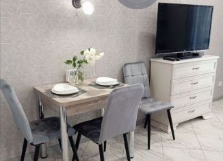 Продаю квартиру студию, 19 м2, Санкт-Петербург, Загородный проспект, 2, метро Достоевская