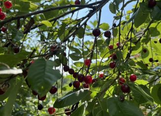 Продаю дачу, 28.9 м2, Марий Эл, СНТ Гидромеханизатор, 11